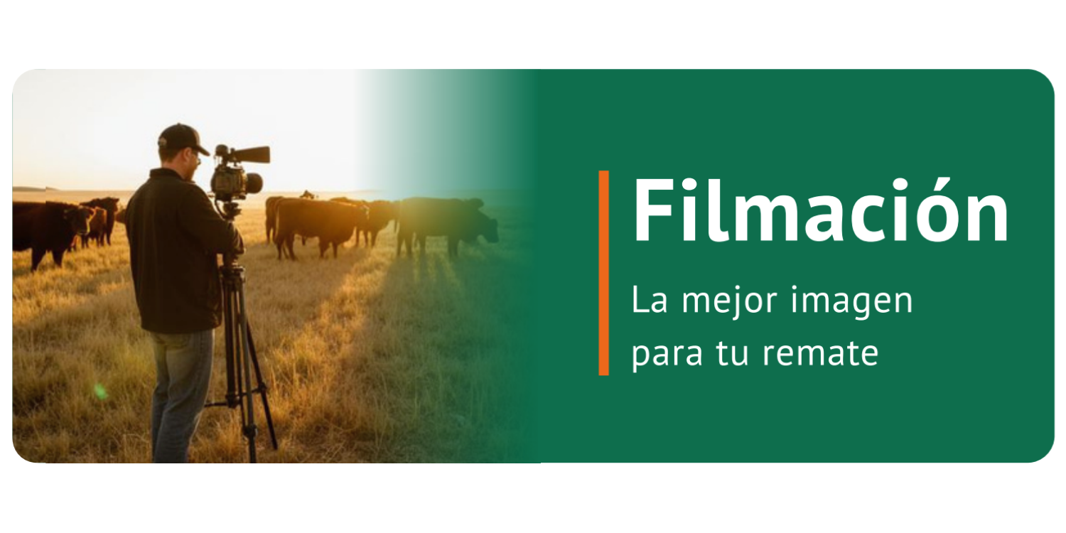Filmación