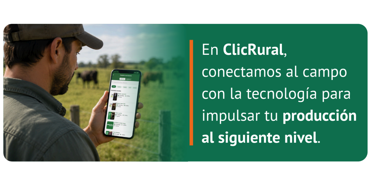 Inicio