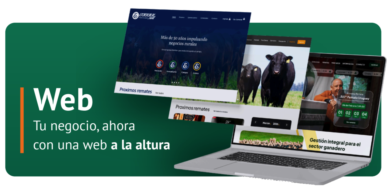 Web